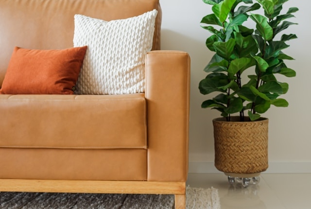 A brown couch and a potted plant in a living room