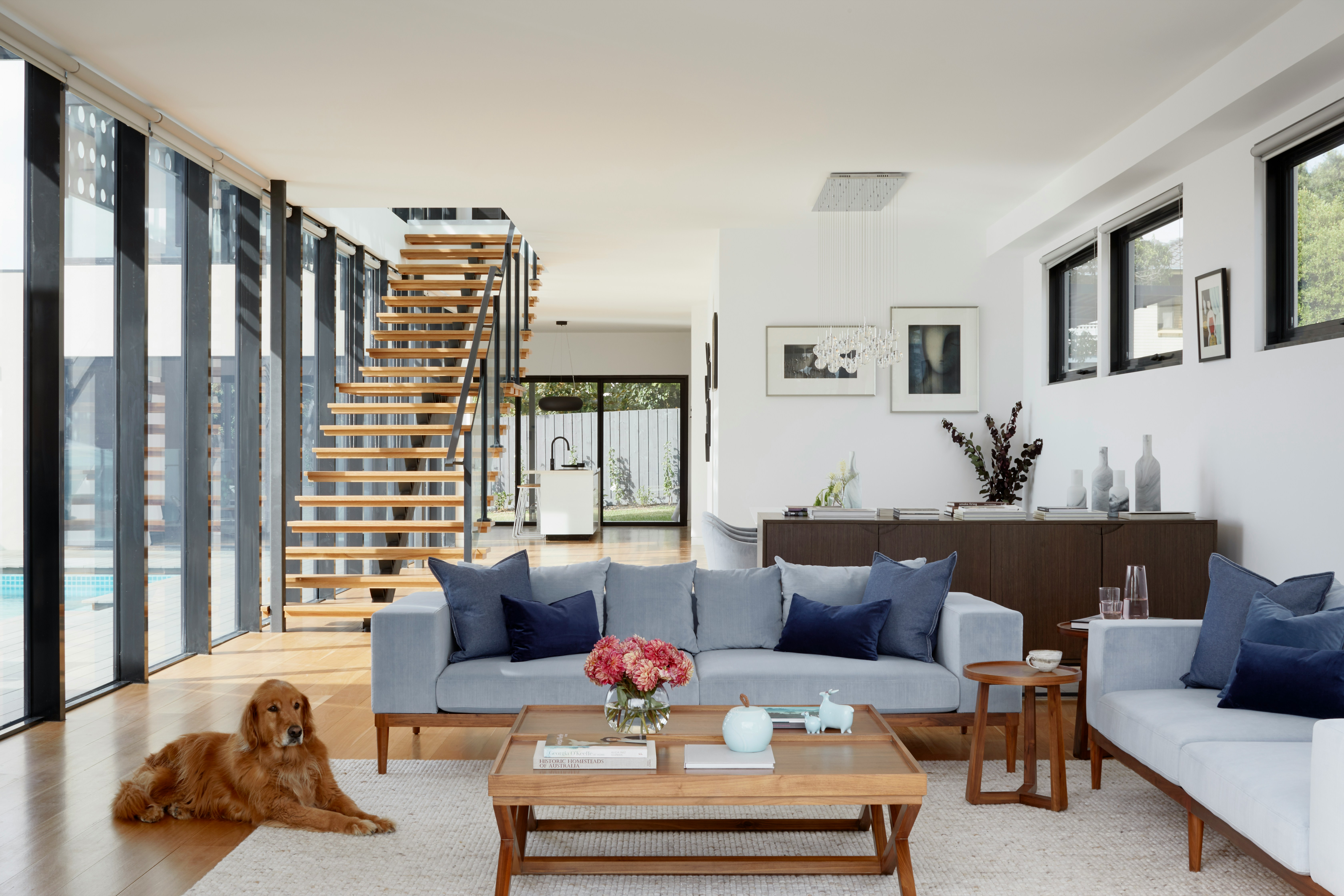 Brown golden retriever in a modern home with stairs.