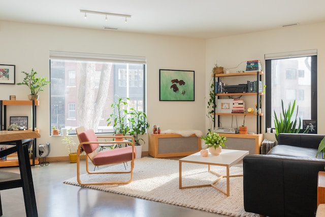 Living room with large windows and a lot of house plants